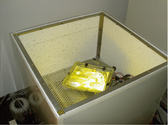ヒッチメンバー 振動試験機 (自社製作)