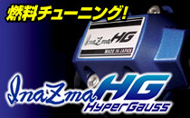 InazmaHG/イナズマHG