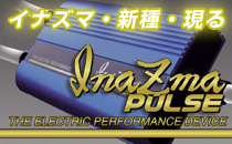 InaZmaPULSE/イナズマパルス