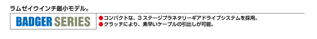 ラムゼイ最小モデル